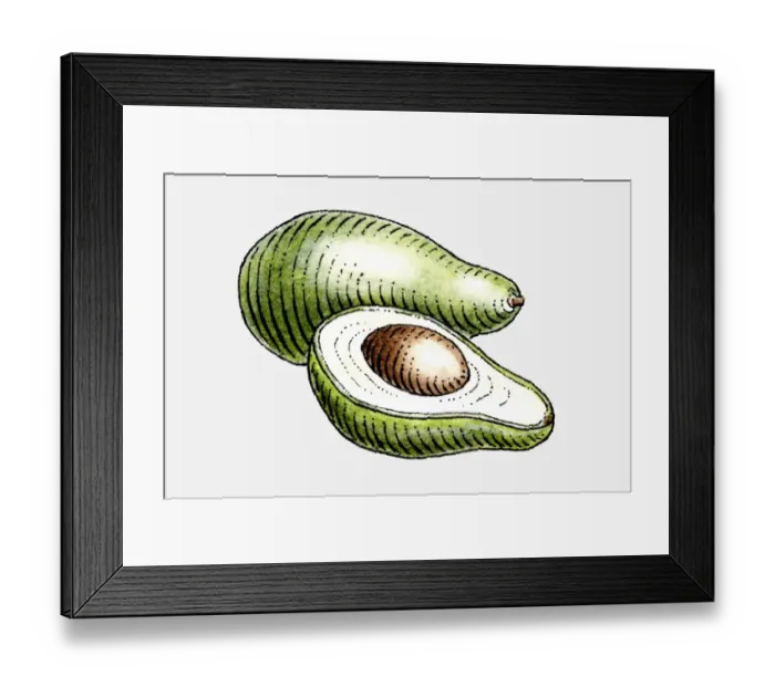 Framed Print : Illustration of avocados, whole and cut in half