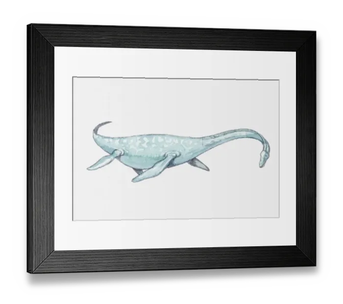Framed Print : Illustration of a Plesiosaurus, early Jurassic period Framed Print : Illustration of a Plesiosaurus, early Jurassic period