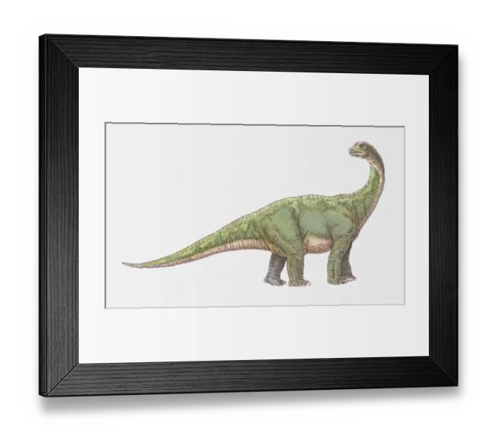 Framed Print : Illustration of Tyrannosaurus dinosaur Framed Print : Illustration of Tyrannosaurus dinosaur