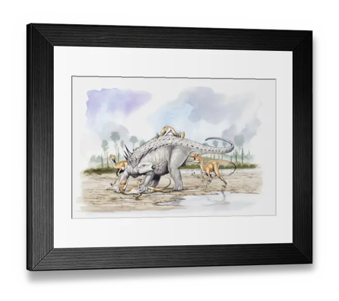 Framed Print : Illustration of a Sauropelta under attack by a pack of Deinonychus theropod dinosaurs, Cretaceous period Framed Print : Illustration of a Sauropelta under attack by a pack of Deinonychus theropod dinosaurs, Cretaceous period