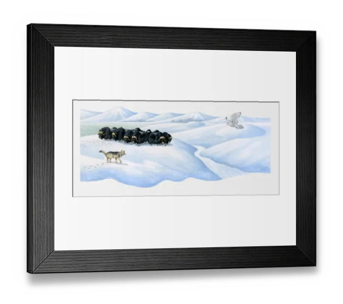 Framed Print : Illustration of herd of American Bison (Bison bison), wolf and owl in snow Framed Print : Illustration of herd of American Bison (Bison bison), wolf and owl in snow