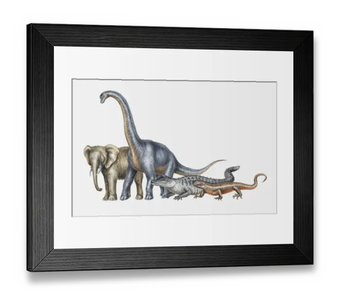 Framed Print : Illustration of elephant, dinosaur, crocodile and lizard Framed Print : Illustration of elephant, dinosaur, crocodile and lizard