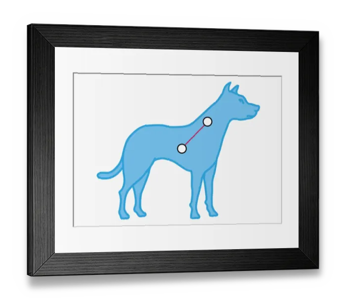 Framed Print : Illustration of Canis Minor constellation represented as small dog Framed Print : Illustration of Canis Minor constellation represented as small dog