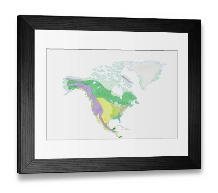 Framed Print : Illustration of USA, Canada and Greenland