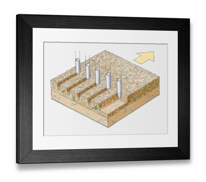 Framed Print : Illustration of seed drilling showing coulter cutting groove in tilth into which the seed falls