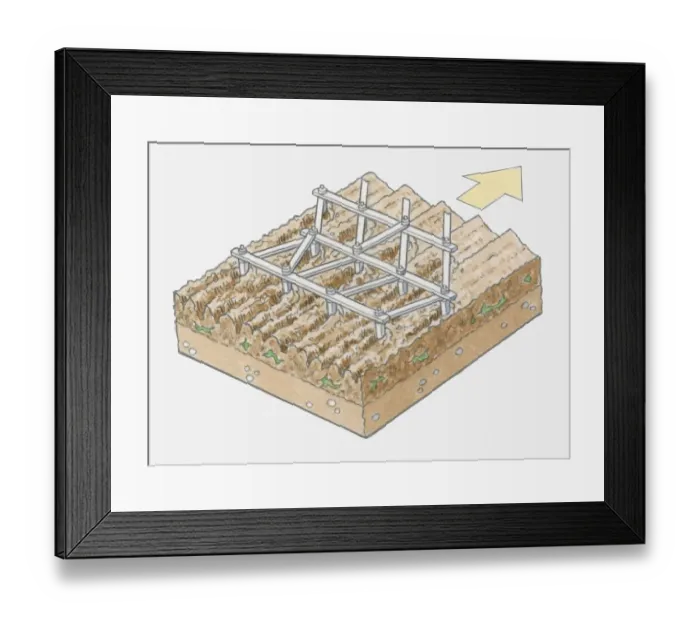 Framed Print : Illustration of ploughing soil using harrow