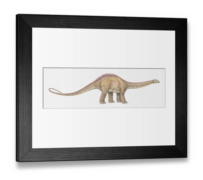 Framed Print : Illustration of Albertosaurus dinosaur Framed Print : Illustration of Albertosaurus dinosaur