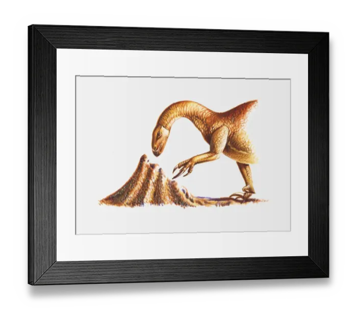 Framed Print : Illustration of a Segnosaurus attacking a termite nest, Cretaceous period