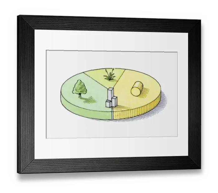 Framed Print : Pie chart illustration representing grassland, forest, farmland and built-up areas of Portugal