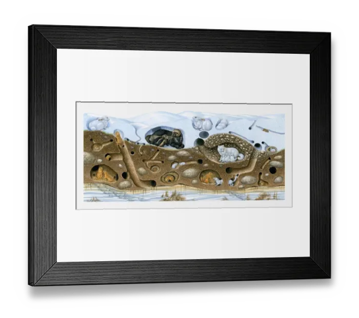 Framed Print : Illustration of animals in winter arctic burrow Framed Print : Illustration of animals in winter arctic burrow