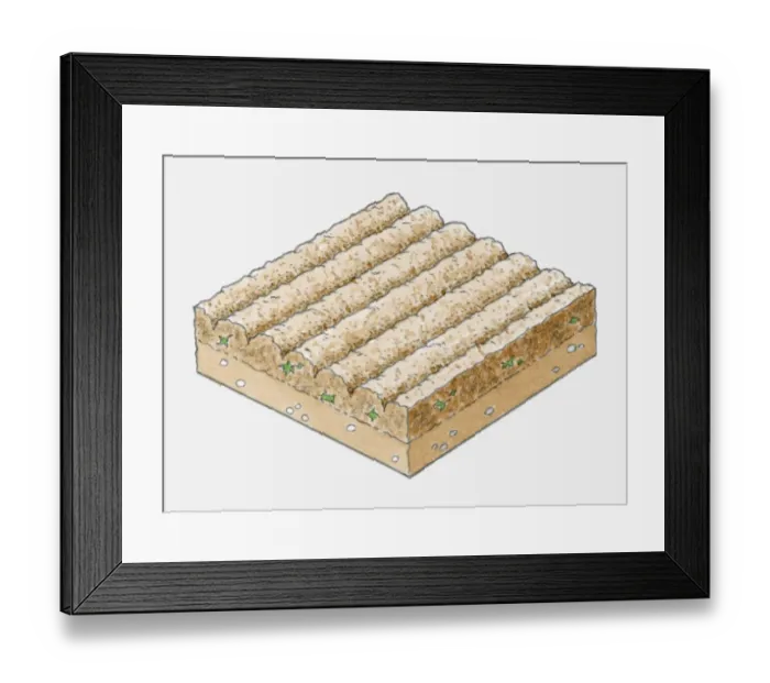 Framed Print : Illustration of furrows in soil after ploughing Framed Print : Illustration of furrows in soil after ploughing