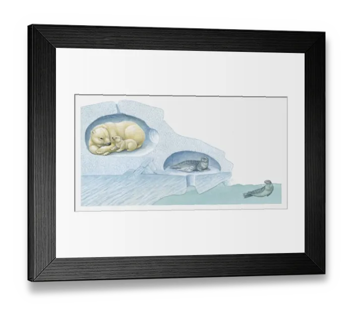 Framed Print : Illustration of Polar Bear with cub and Harp Seal with pup in ice burrows, and seal underwater Framed Print : Illustration of Polar Bear with cub and Harp Seal with pup in ice burrows, and seal underwater