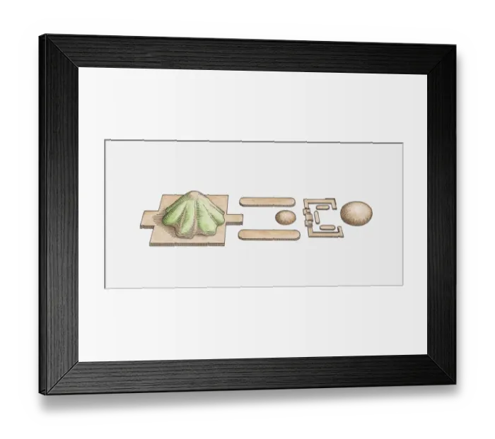 Framed Print : Illustration of sacred Olmec centre in Veracruz with pyramid temple