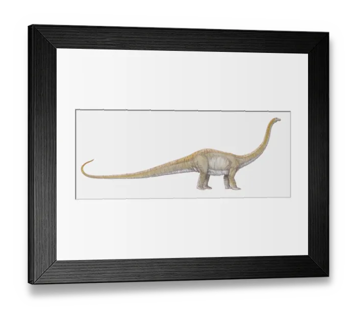 Framed Print : Illustration of Dilophosaurus dinosaur Framed Print : Illustration of Dilophosaurus dinosaur