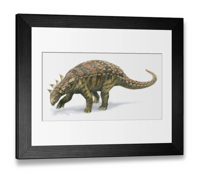 Framed Print : Illustration of Sauropelta dinosaur, side view Framed Print : Illustration of Sauropelta dinosaur, side view
