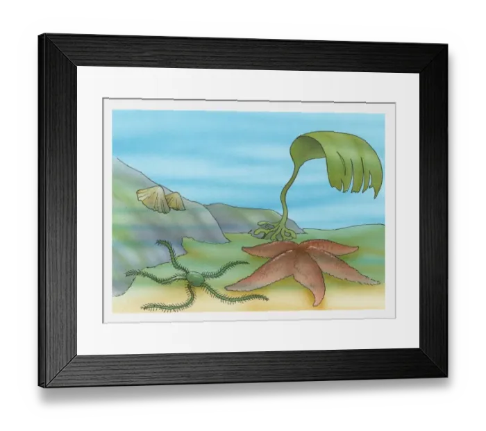 Framed Print : Illustration of limpets, star fish and kelp underwater Framed Print : Illustration of limpets, star fish and kelp underwater
