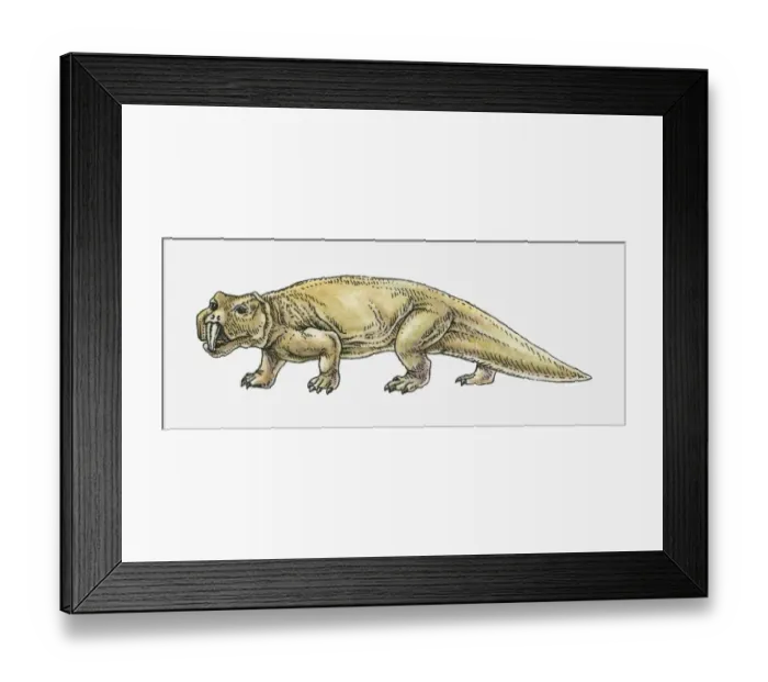 Framed Print : Illustration of a Scaphonyx, type of rynchosaur, Triassic period