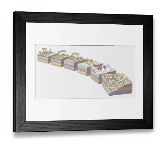 Framed Print : Illustration of the different stages of landform evolution and concurrent fossilization of a Triceratops dinosaur