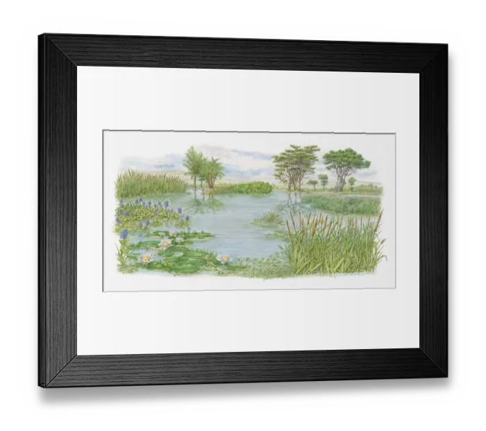 Framed Print : Illustration of trees, water lilies and bulrushes surrounding lake on Kenyas lush plains Framed Print : Illustration of trees, water lilies and bulrushes surrounding lake on Kenyas lush plains