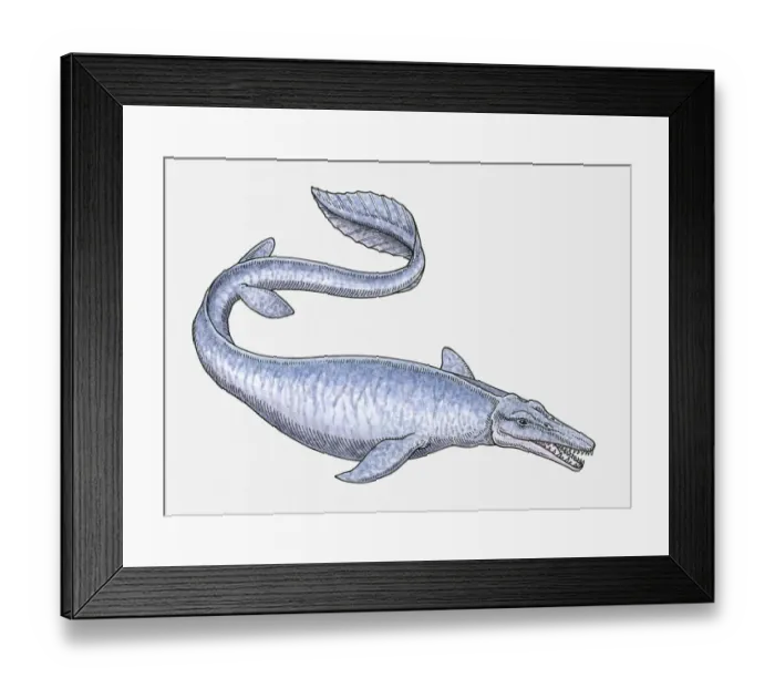 Framed Print : Illustration of Tylosaurus, a late Cretaceous mosasaur Framed Print : Illustration of Tylosaurus, a late Cretaceous mosasaur