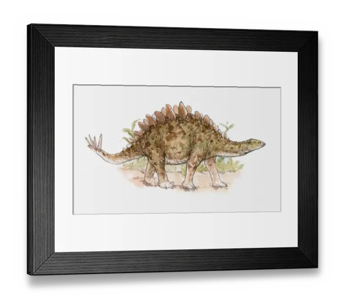 Framed Print : Illustration of a Tuojiangosaurus, a type of stegosaur, Jurassic period Framed Print : Illustration of a Tuojiangosaurus, a type of stegosaur, Jurassic period