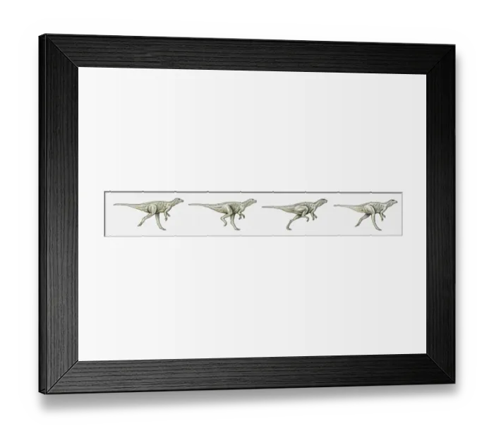 Framed Print : Illustration of a bipedal dinosaur running, multiple image Framed Print : Illustration of a bipedal dinosaur running, multiple image