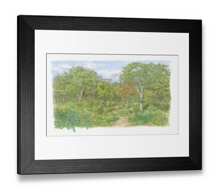 Framed Print : Illustration of trail through one of Kenyas lush forests