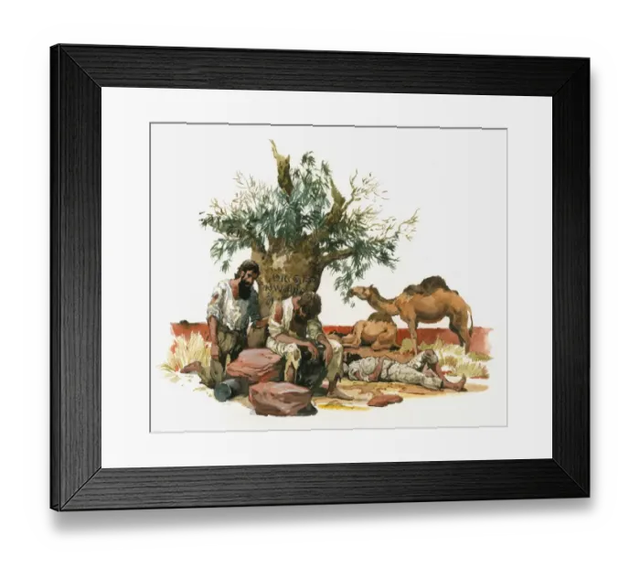 Framed Print : Illustration of Australian explorers Burke, Wills and King suffering from exhaustion and starvation in outback as camel eats leaves from tree Framed Print : Illustration of Australian explorers Burke, Wills and King suffering from exhaustion and starvation in outback as camel eats leaves from tree