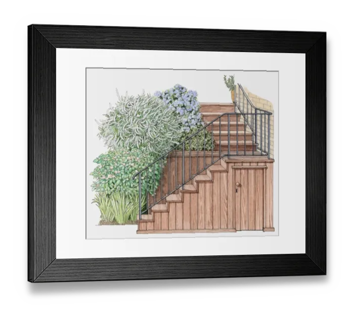 Framed Print : Illustration of flowers planted along cedarwood steps Framed Print : Illustration of flowers planted along cedarwood steps