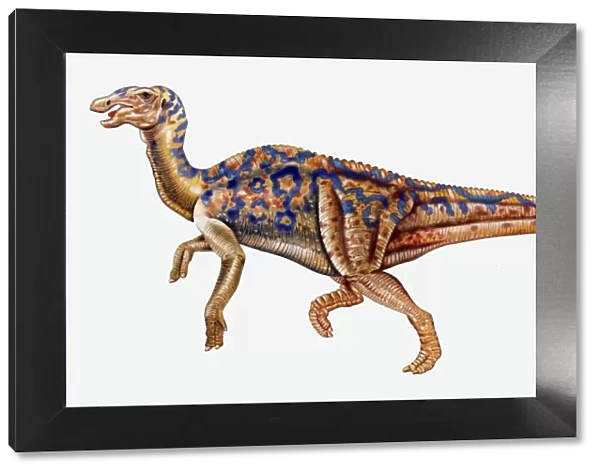 Illustration of Hadrosaurus dinosaur