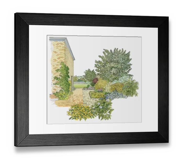 Framed Print : Illustration of trees, shrubs and flowers planted in garden Framed Print : Illustration of trees, shrubs and flowers planted in garden