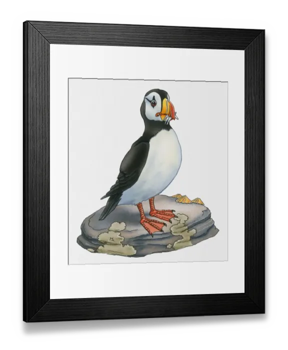 Framed Print : Illustration of Atlantic Puffin (Fratercula arctica) standing on rock Framed Print : Illustration of Atlantic Puffin (Fratercula arctica) standing on rock