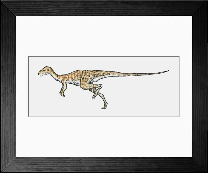 Framed Print : Illustration of Hypsilophodon ornithopod dinosaur Framed Print : Illustration of Hypsilophodon ornithopod dinosaur