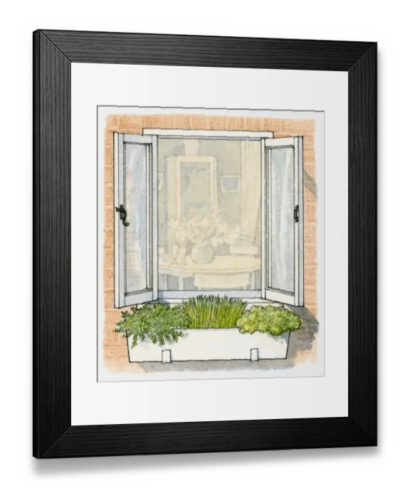 Framed Print : Illustration of window box containing herbs including chives and parsley