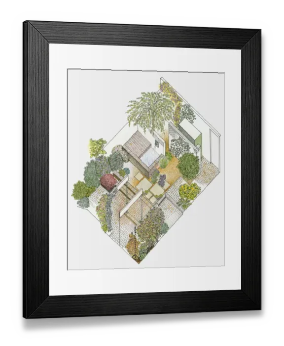 Framed Print : Illustration of a garden containing paved and gravelled areas, fountain and plants Framed Print : Illustration of a garden containing paved and gravelled areas, fountain and plants