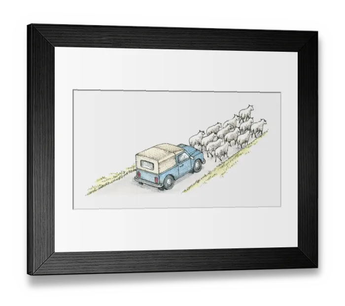 Framed Print : Illustration of a vehicle on a country road behind a flock of sheep Framed Print : Illustration of a vehicle on a country road behind a flock of sheep