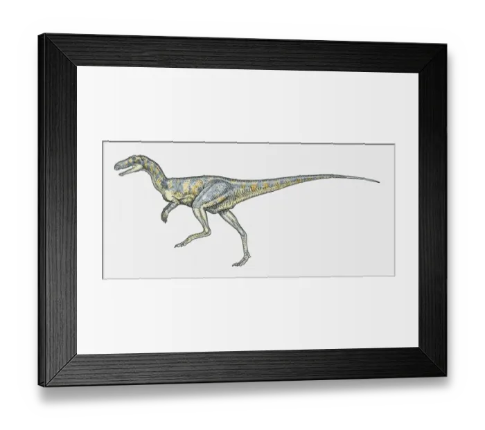 Framed Print : Illustration of Herrerasaurus bipedal Framed Print : Illustration of Herrerasaurus bipedal
