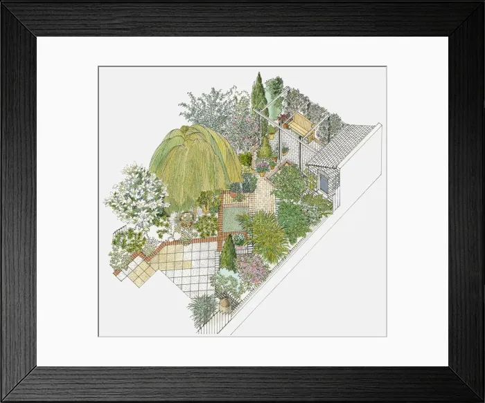 Framed Print : Illustration of a paved garden, containing various trees, including a weeping willow, shrubs, a pergola and a shed Framed Print : Illustration of a paved garden, containing various trees, including a weeping willow, shrubs, a pergola and a shed