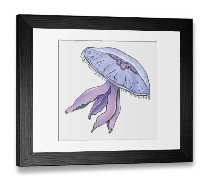 Framed Print : Illustration of Jellyfish?