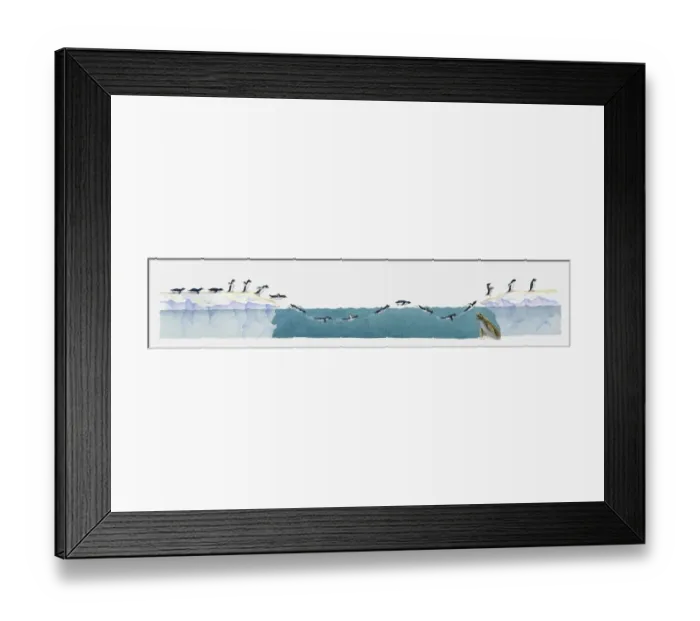 Framed Print : Illustration of Adelie penguins (Pygoscelis adeliae) moving from land through water and back onto land, Leopard seal (Hydrurga leptonyx) preying underwater Framed Print : Illustration of Adelie penguins (Pygoscelis adeliae) moving from land through water and back onto land, Leopard seal (Hydrurga leptonyx) preying underwater