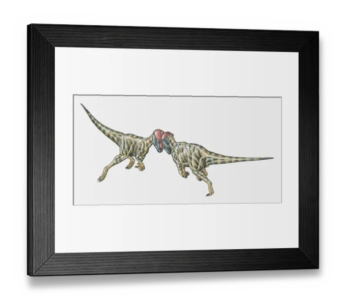 Framed Print : Illustration of Prenocephale dinosaurs confronting head-on Framed Print : Illustration of Prenocephale dinosaurs confronting head-on