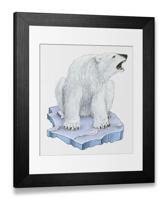 Framed Print : Illustration of Polar Bear (Ursus maritimus) stranded on melting ice Framed Print : Illustration of Polar Bear (Ursus maritimus) stranded on melting ice