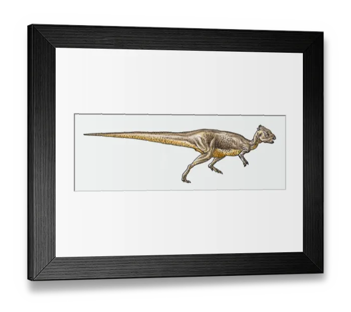 Framed Print : Illustration of Pachycephalosaurus pachycephalosaurid