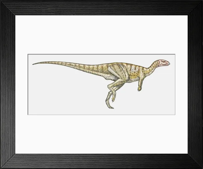 Framed Print : Illustration of Dryosaurus ornithopod dinosaur Framed Print : Illustration of Dryosaurus ornithopod dinosaur