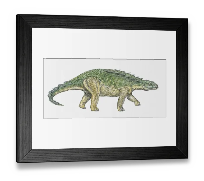 Framed Print : Illustration of Polacanthus ankylosaur dinosaur Framed Print : Illustration of Polacanthus ankylosaur dinosaur