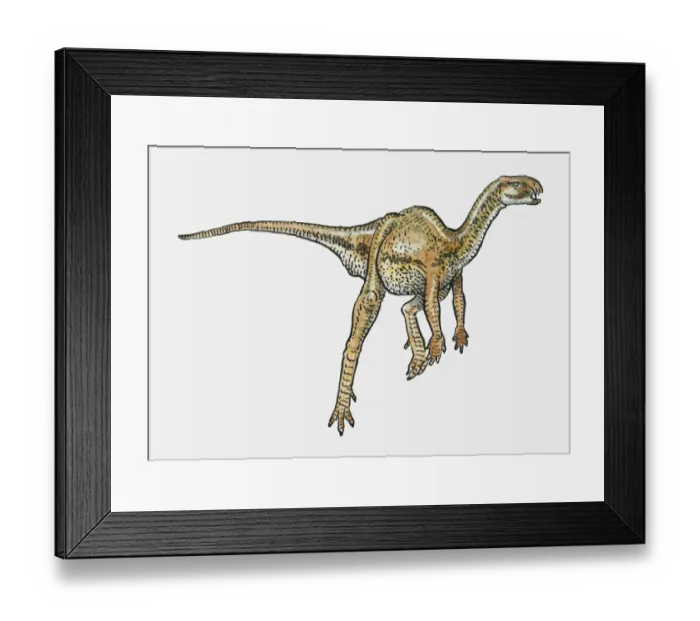 Framed Print : Illustration of Heterodontosaurus ornithischian dinosaur Framed Print : Illustration of Heterodontosaurus ornithischian dinosaur