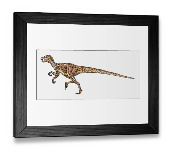 Framed Print : Illustration of Heterodontosaurus bipedal dinosaur