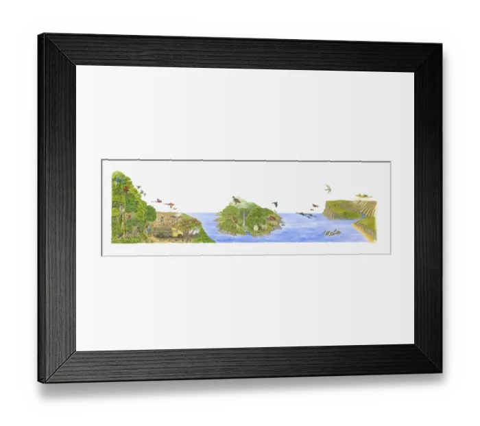 Framed Print : Illustration of areas inhabited by wild birds and put in danger by humans and other animals