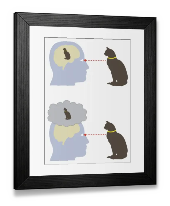 Framed Print : Digital illustration of monism and dualism in human brain Framed Print : Digital illustration of monism and dualism in human brain