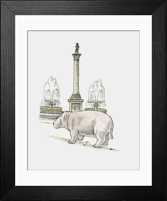 Framed Print : A hippopotamus next to Nelsons Column, Trafalgar Square, London Framed Print : A hippopotamus next to Nelsons Column, Trafalgar Square, London